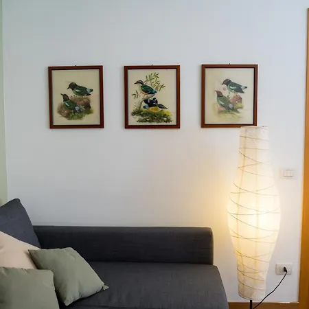 L'ulivo Di Apartment *