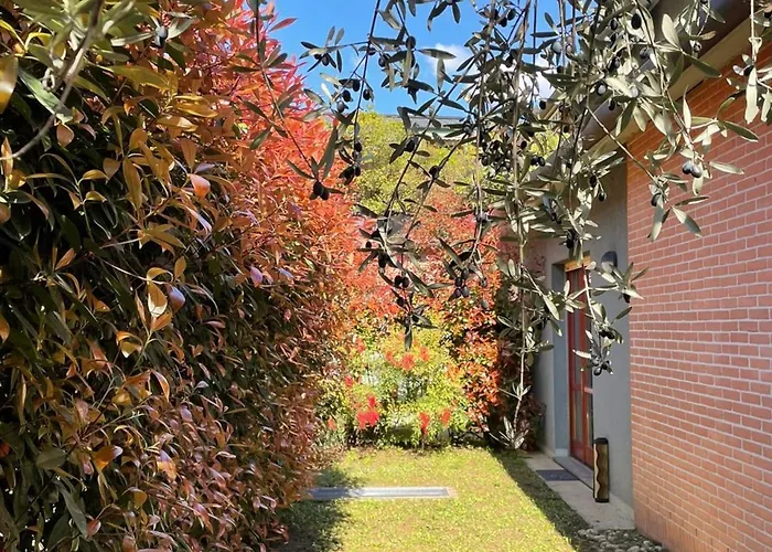 L'ulivo Di Apartment Como