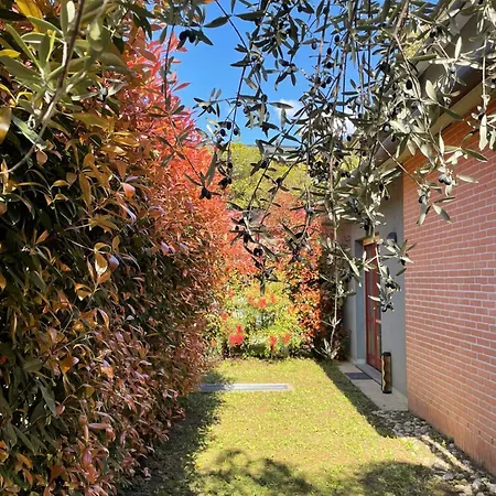 L'ulivo Di Apartament Como